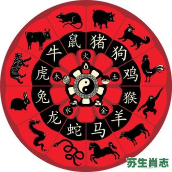 丙子是什么生肖？丙子打一准确生肖