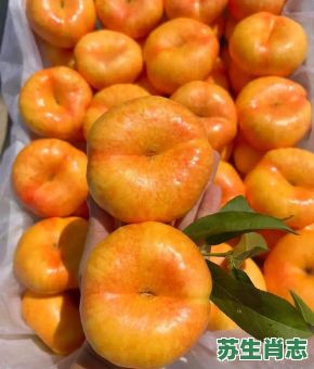 蟠桃是什么生肖?蟠字打一正确生肖 蟠桃是什么生肖?蟠字打一正确生肖