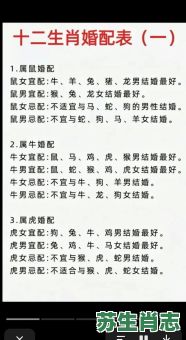 1996是什么生肖?1996属鼠最佳婚配 1996是什么生肖?1996属鼠最佳婚配