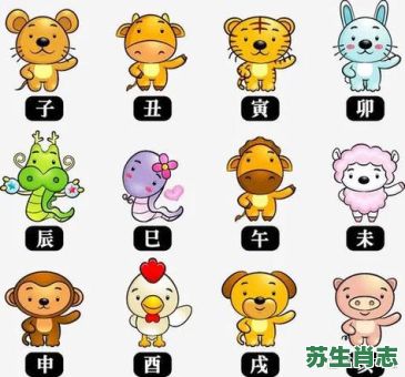 邻居是什么生肖？邻居最准确生肖