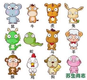 网络是什么生肖?网络比喻什么生肖 网络是什么生肖?网络比喻什么生肖