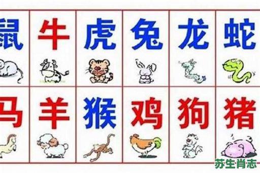 里是什么生肖？里字的准确一肖
