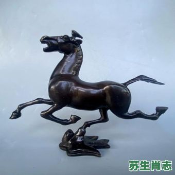 飞燕是什么生肖？燕打一生肖最佳答案