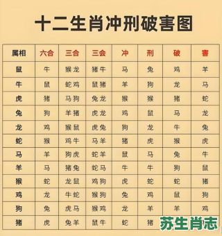 对冲生肖是什么？对冲生肖查询