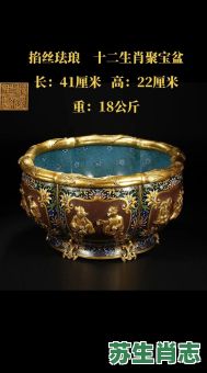 盆是什么生肖？盆代表什么动物