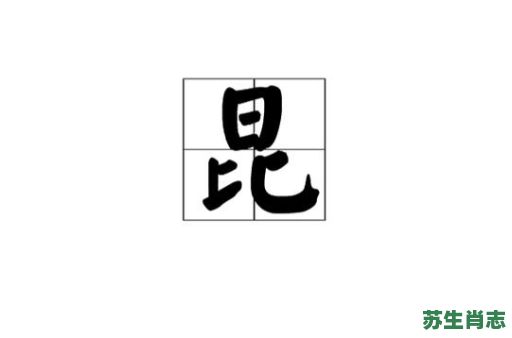 昆是什么生肖？昆的意思是什么