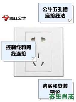 插座是什么生肖？插座打一最佳生肖