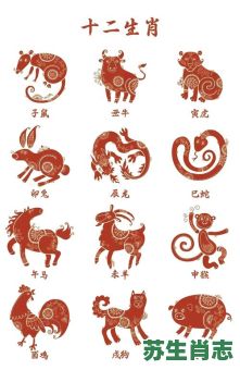 名是什么生肖？之字是什么生肖