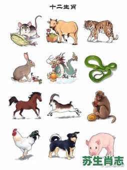 机灵生肖是什么？机灵动物最准确一肖