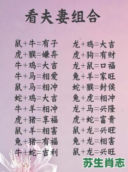 兵强马壮是什么生肖?马壮人强打一正确答案 兵强马壮是什么生肖?马壮人强打一正确答案