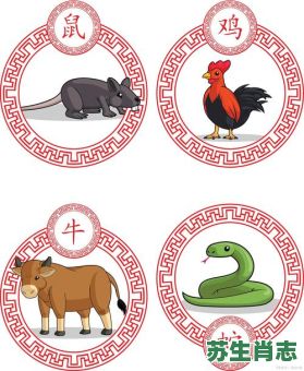 土头土脑是什么生肖？土头土脑打一数字