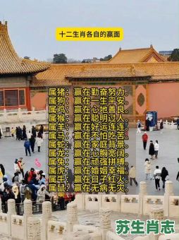 赢是什么生肖?赢在十二生肖指什么 赢是什么生肖?赢在十二生肖指什么