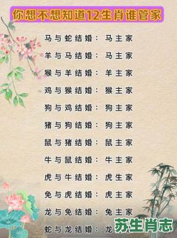 示是什么生肖？示字最准确生肖