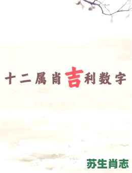 采是什么生肖？采代表什么数字