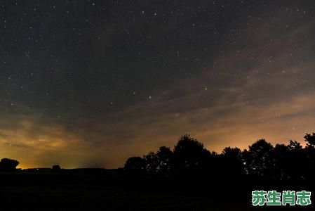 流星是什么生肖？流星正确答案一肖