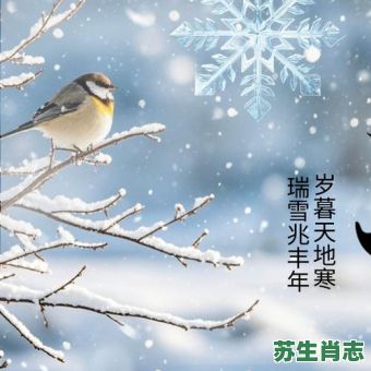 丰年是什么生肖？喜兆丰年家富裕打一生肖