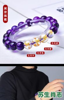 紫是什么生肖?紫肖最正确一肖 紫是什么生肖?紫肖最正确一肖