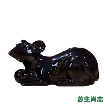 黑色是什么生肖？黑色的打一准确生肖