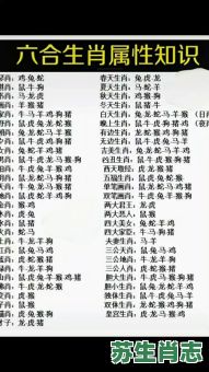 妇女是什么生肖？女肖是哪些肖