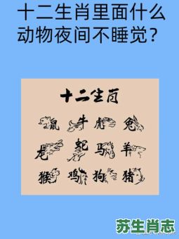 朝阳是什么生肖？夕阳打一个最佳生肖