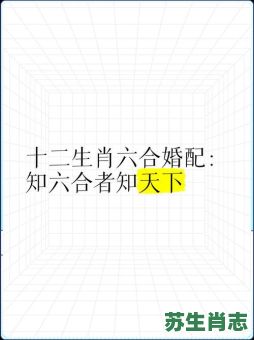 知音是什么生肖？随心所欲打一精准生肖