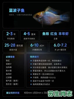 蓝波是什么生肖？蓝波是指哪些生肖