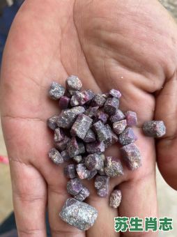 矿是什么生肖？矿石五行属什么