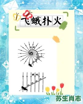 飞蛾是什么生肖？飞蛾扑火打一最佳动物