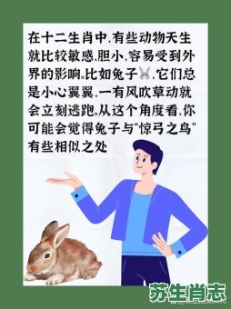 小鸟是什么生肖？小鸟打准确一肖