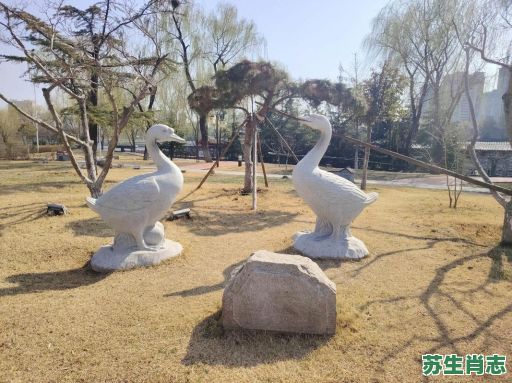 鹅十二生肖是什么生肖？鹅在12生肖里面代表什么