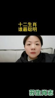 最蠢的生肖是什么生肖？哪个生肖最蠢是第一名