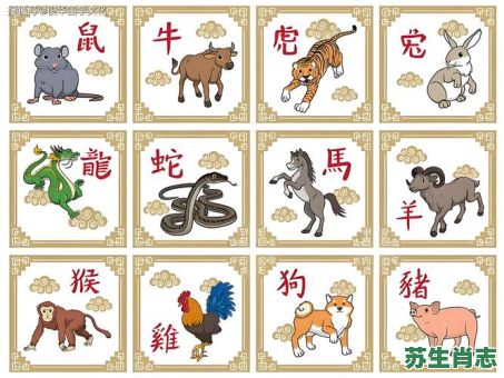 13生肖是什么生肖？13代表什么动物