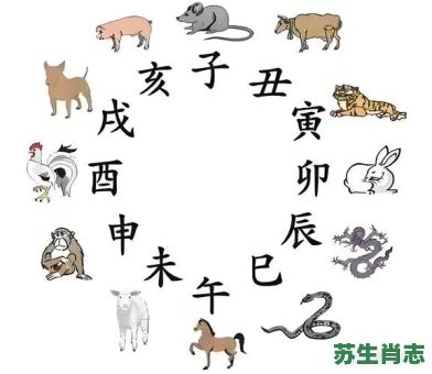 穷肖是什么生肖是什么？十二生肖谁是穷肖