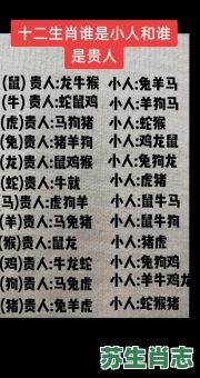 天性豪迈是什么生肖？得天独厚是哪一生肖