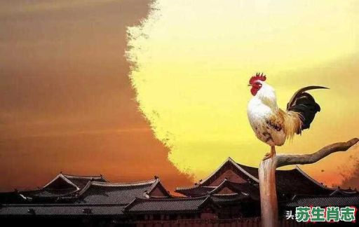 5更是什么生肖？五更指什么动物