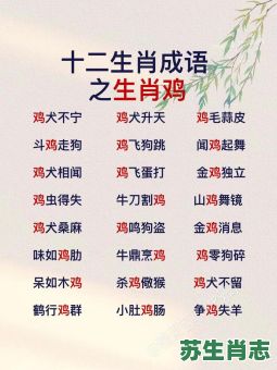 话多的生肖是什么？二话不说是什么生肖