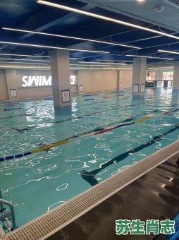 游泳健身是什么生肖？爱游泳的三大生肖