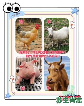 美食的生肖是什么？食打一生肖动物