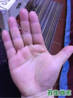 手心朝上是什么生肖？手心朝上和手心朝下