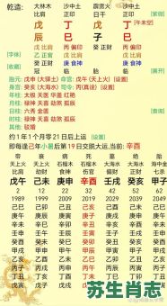 终日乾乾是什么生肖？春满乾坤打一生肖