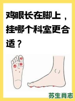 手术鸡眼是什么生肖？鸡眼一般寿命多长