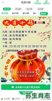 四九左右是什么生肖？四九左右打一正确答案