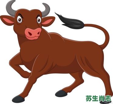 29号生肖是什么？29打一最佳动物