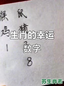 打电话是什么生肖？打电话暗示什么数字