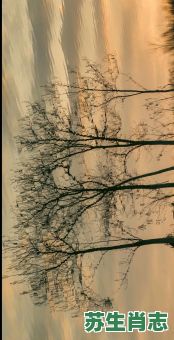 秋声正在是什么生肖？一道残阳打正确一肖