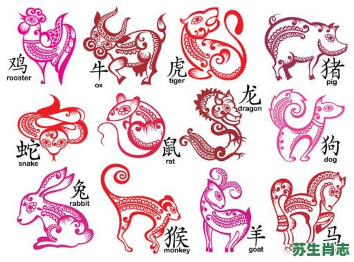 后踢腿是什么生肖?十二生肖谁代表西施 后踢腿是什么生肖?十二生肖谁代表西施