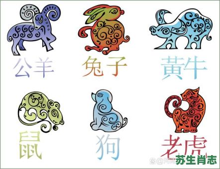 弱小的生肖是什么？弱小代表什么生肖