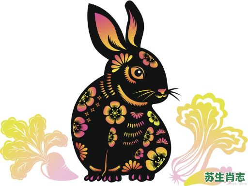 田字是什么生肖？田肖的正确答案