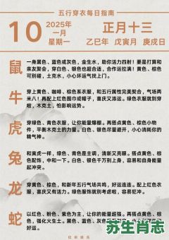 爱打扮是什么生肖？十二生肖谁最爱打扮