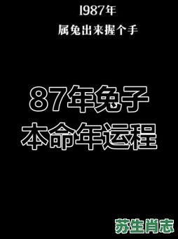 1987属相是什么生肖？1987属兔桃花劫是谁